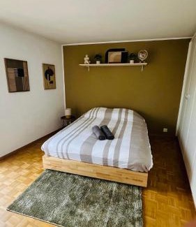 Montreux City Centre Apartment | Appartement centre vue lac Léman