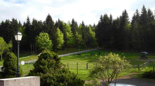 Breitenbach Apartment | Appartement la Charbonnière