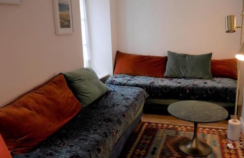 Le Palais Apartment | Appartement refait à neuf, cœur de ville, proche plage, animaux acceptés - FR-1-418-230