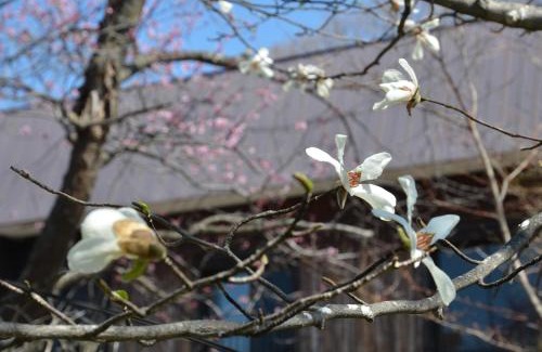 Kawayu Onsen Hotel | ARtINn 極寒藝術伝染装置