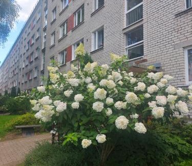 Ogre Apartment | Atpūta pie Zilajiem kalniem