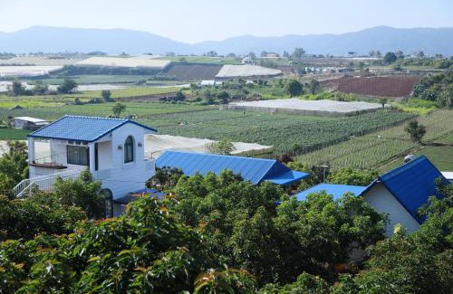 Don Duong Apartment | Avocado Farm