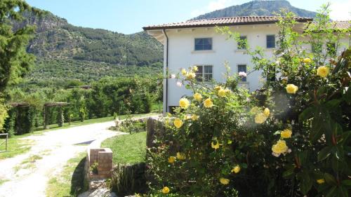 Capaccio-Paestum Bed & Breakfast | B&B Macchia d'Olmo