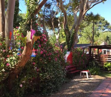 Las Gaviotas Hotel | B&B Mi Casa Es Tu Casa