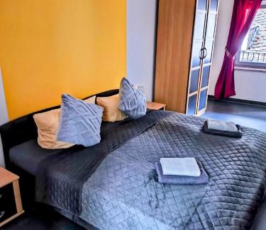Mainz-Bingen Apartment | Bacchus Holiday Homes