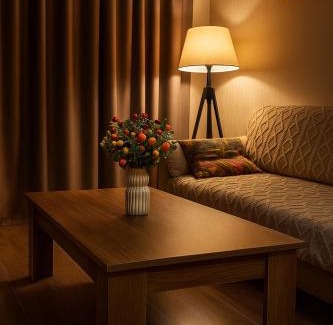 Bakuriani Apartment | Bakuriani Crystal resort 408