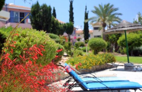 Paphos Apartment | Beautiful 1-bd Ap near the beach historic places
