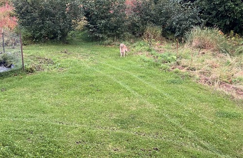 Cohoe House | Beautiful 3 story home close to dip netting and spectacular fishing