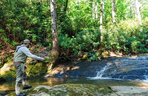 Zirconia Cabin | Beautifully Crafted Warbler Treehouse near Tuxedo Falls