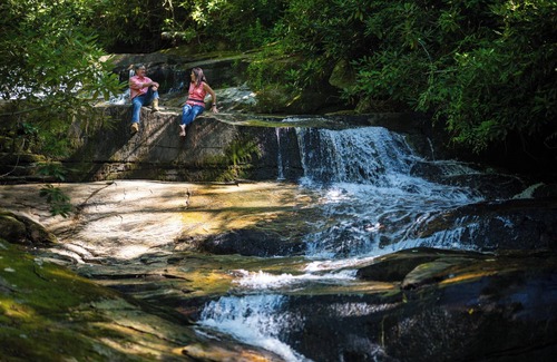Zirconia Cabin | Beautifully Crafted Warbler Treehouse near Tuxedo Falls