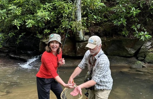 Zirconia Cabin | Beautifully Crafted Warbler Treehouse near Tuxedo Falls