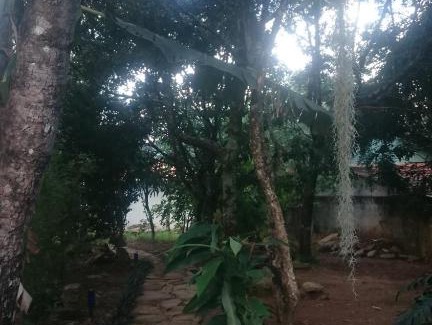 Alto Paraiso de Goias Cabin | BemVida