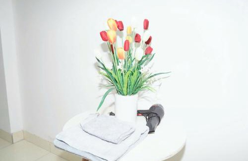 Tu Liem Apartment | Biển Xanh 303DM