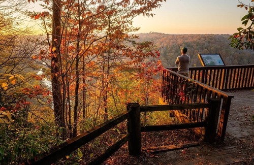Strunk Cabin | 𝐁𝐢𝐠 𝐒𝐨𝐮𝐭𝐡 𝐅𝐨𝐫𝐤 Retreat! Excellent Location Private WIFI~ All NEW 𝐓𝐫𝐞𝐞 𝐓𝐨𝐩 𝐋𝐨𝐝𝐠𝐞!