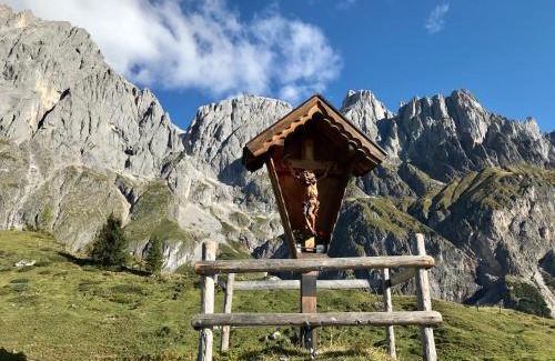 Muehlbach Am Hochkoenig Ski Chalet | Bio Schartenalm