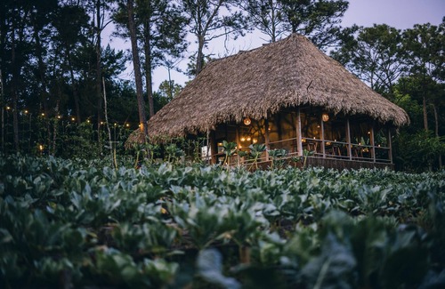 Mountain Pine Ridge Cabin | Blancaneaux Lodge by Francis Ford Coppola