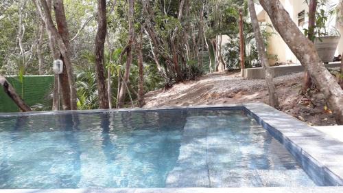 Pipa Hotel | Bora Beach House
