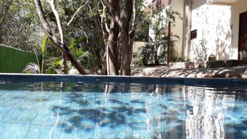 Pipa Hotel | Bora Beach House