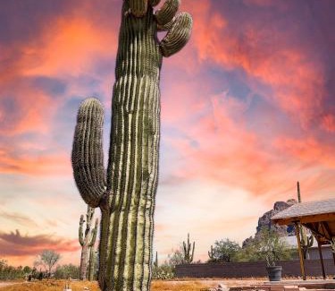Apache Junction House | Boulder Apache Junction