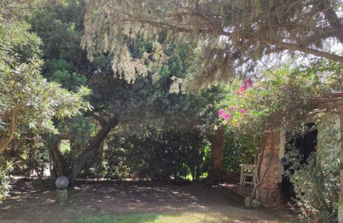 Notteri House | Buganvillee