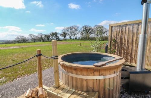 Crediton House | Buzzards