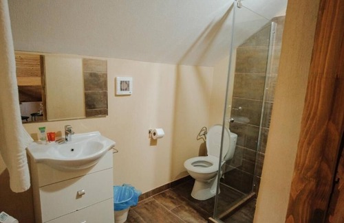 Busteni Bed & Breakfast | CABANA LAPTICI