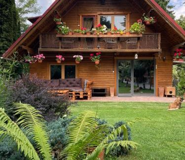 Bran House | Cabana Mistic