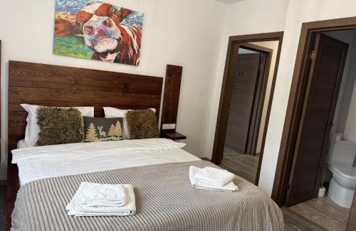 Baisoara Cabin | Cabana Sun Valley