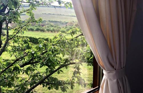 Paulis Ski Chalet | Cabana Wonderland