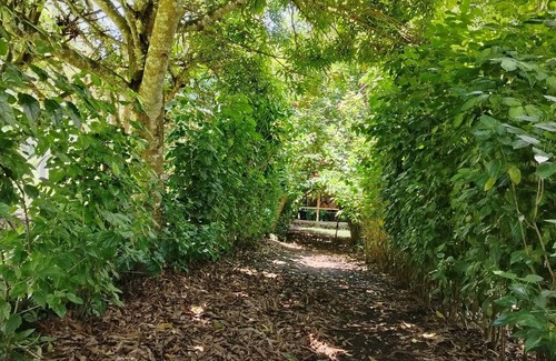 Isabela Island Other | Campo Duro ecolodge
