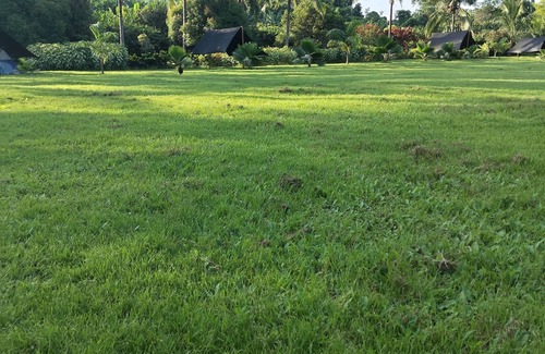 Isabela Island Other | Campo Duro ecolodge