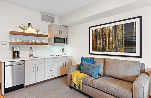 Tamarack Condo | Captivating Studio | Pet friendly with Balcony