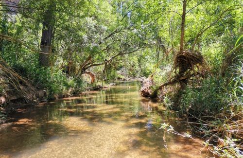 Royo Odrea House | Casa Rural La Encalá