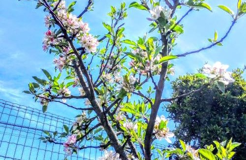 Baiao Bed & Breakfast | Casa Vale do Rio Ovil