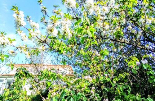 Baiao Bed & Breakfast | Casa Vale do Rio Ovil