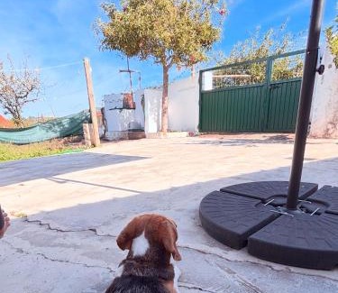 Lamas House | Casinha no coração do Oeste