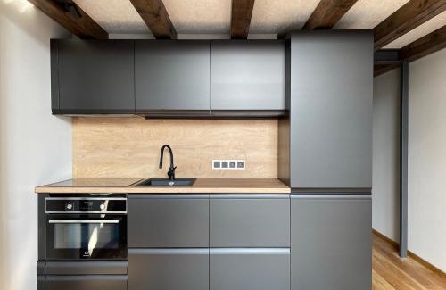 Kaunas Apartment | Center stay Kaunas - Peledyne - Owl's nest apartments