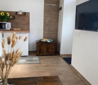 Panevezys county Apartment | Centro apartments Rokiškis