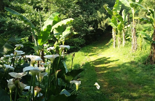 Hinx Ski Chalet | Chalet du Moulin de Hinx