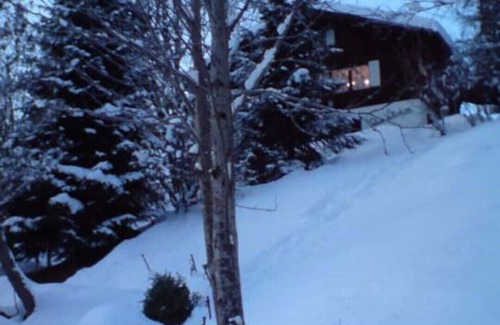 Grindelwald Ski Chalet | Chalet in Grindelwald, Fantastische Lage