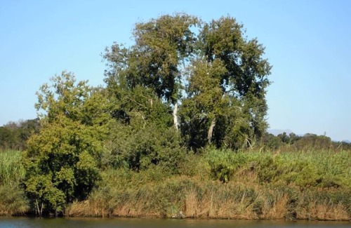 San Piero a Grado Ski Chalet | Chalet on river with garden in Tuscany, nature close to the city!