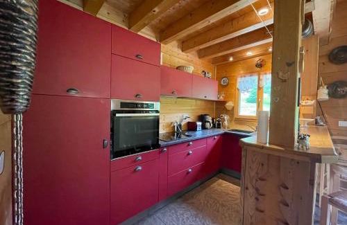 Abondance Ski Chalet | Chalet spacieux avec garage privé, animaux acceptés, terrasse et jardin, idéal pour familles ! - FR-1-692-101