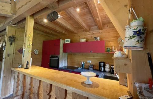 Abondance Ski Chalet | Chalet spacieux avec garage privé, animaux acceptés, terrasse et jardin, idéal pour familles ! - FR-1-692-101