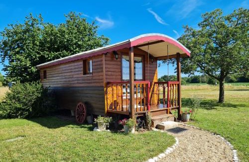 Bonnee Bed & Breakfast | Chambre lumineuse avec terrasse privative, au coeur de la région des châteaux et de la forêt d'Orléans. - FR-1-590-296