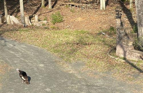 Mount Marion House | Charming guesthouse in castle in delightful Woodstock with office space