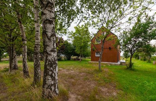 Czerwinsk nad Wisła House | Chatka Czarodzieja