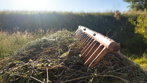 Detva Cabin | Cifrovaná drevenička