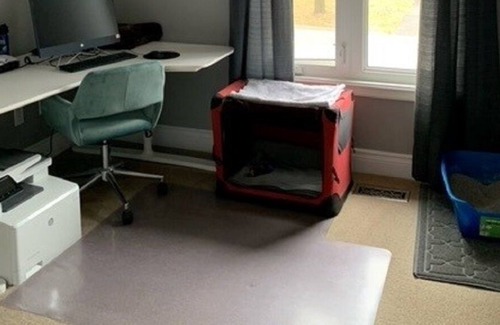 Courtice House | Clarington Oasis. Gorgeous, quiet and peaceful in the so