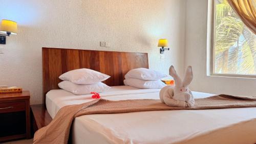 Elmina Hotel | Coconut Grove Beach Resort