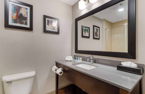 Shenandoah Hotel | Comfort Suites Shenandoah-The Woodlands